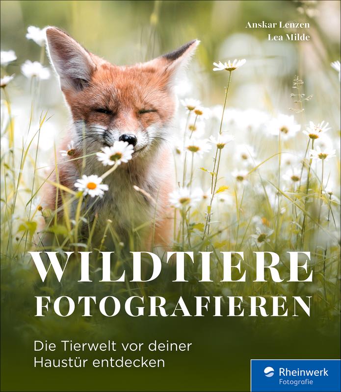 Produktbild: Wildtiere fotografieren | Anskar Lenzen, Lea Milde