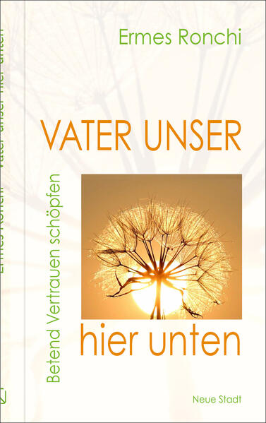 Produktbild: Vater unser hier unten | Ermes Ronchi