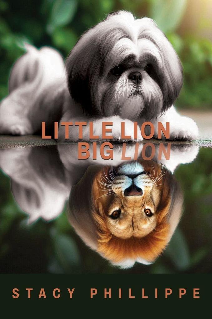 Produktbild: Little Lion Big Lion | Stacy Phillippe