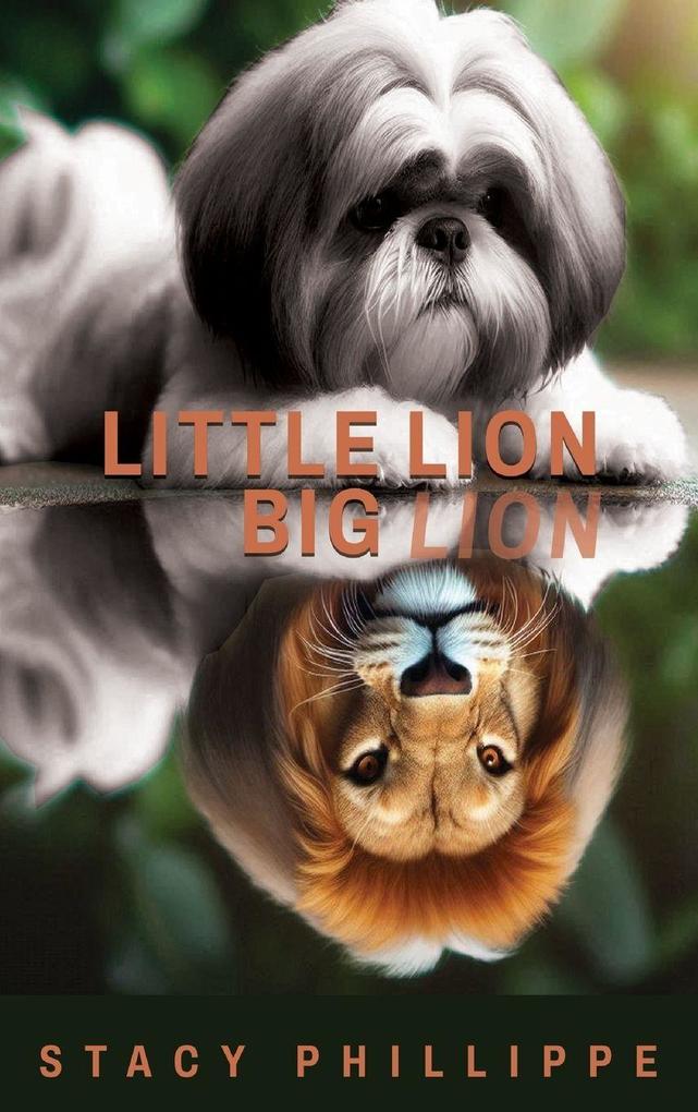 Produktbild: Little Lion Big Lion | Stacy Phillippe