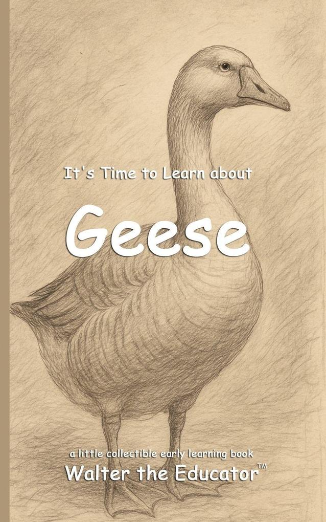 Produktbild: It's Time to Learn about Geese | Walter the Educator
