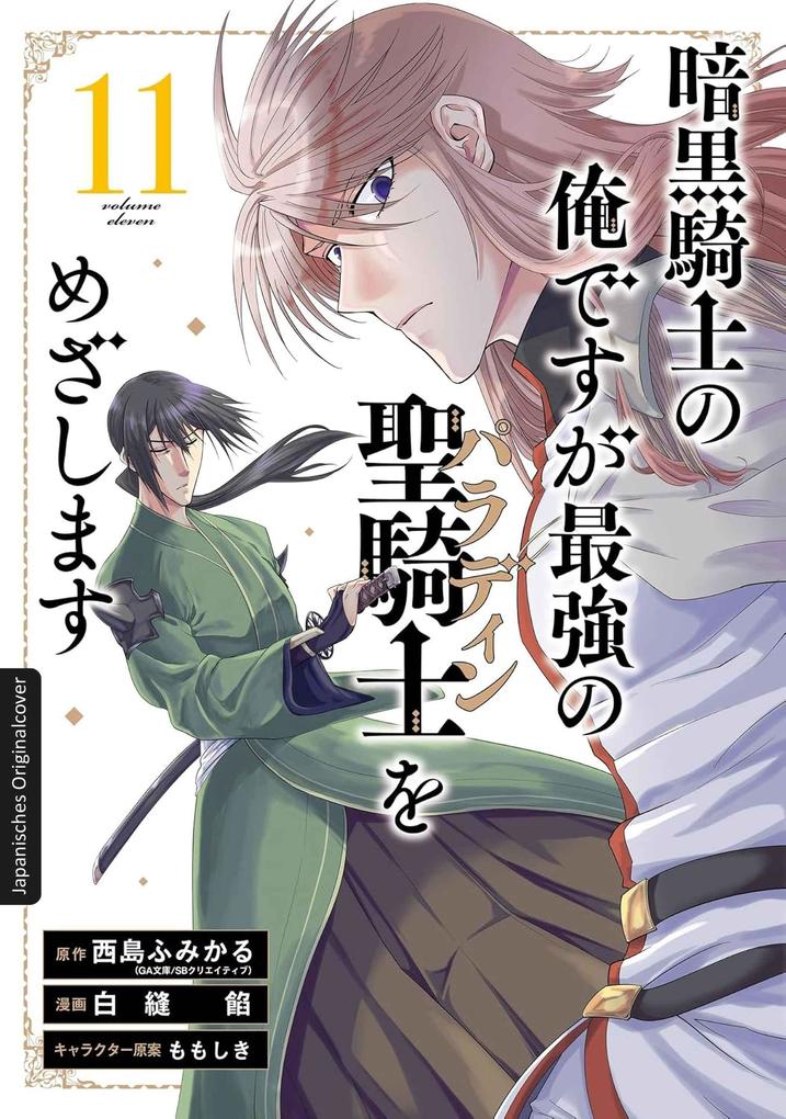 Produktbild: Dark Paladin 11 | Fumikaru Nishijima