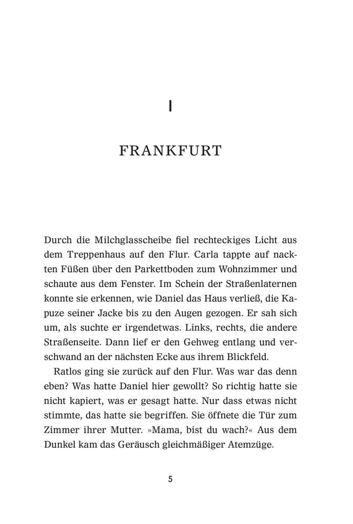 Weitere Ansicht: Scheinland | Cornelia Franz