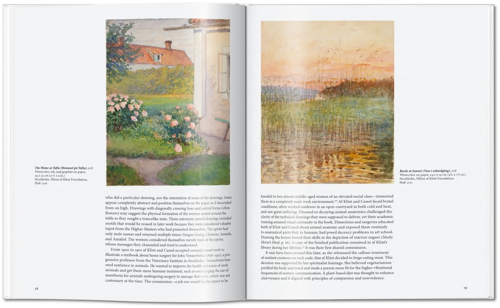 Weitere Ansicht: Hilma af Klint | Janis Mink