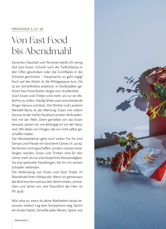 Weitere Ansicht: Das Bibellesebuch zu Hiob | Lydia Rieß