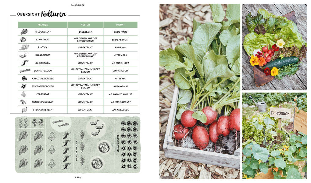 Weitere Ansicht: Garten, Hochbeet, Ernte-Wunder - Drei Bücher im Bundle | Die Stadtgärtner