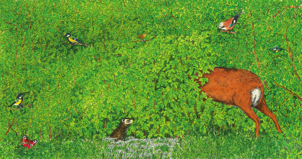 Weitere Ansicht: In den Wald