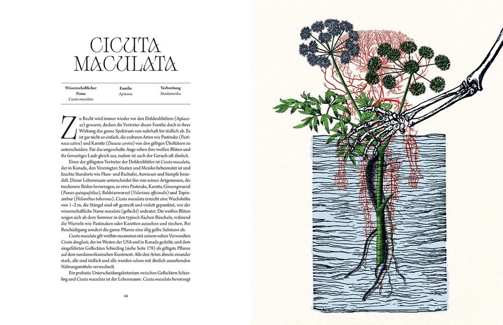 Weitere Ansicht: Atlas der tödlichen Pflanzen | Jane Perrone