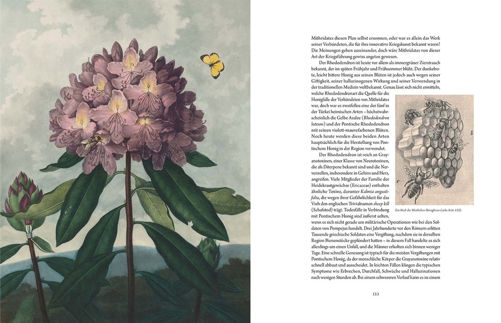 Weitere Ansicht: Atlas der tödlichen Pflanzen | Jane Perrone