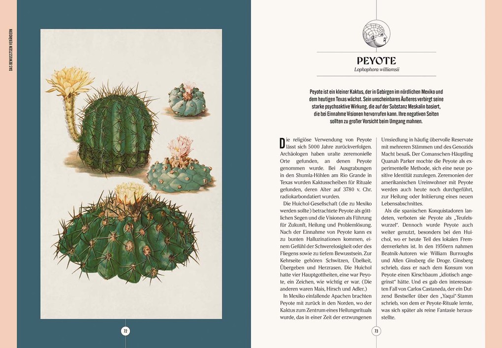 Weitere Ansicht: Der Garten des Apothekers | Emma Wayland