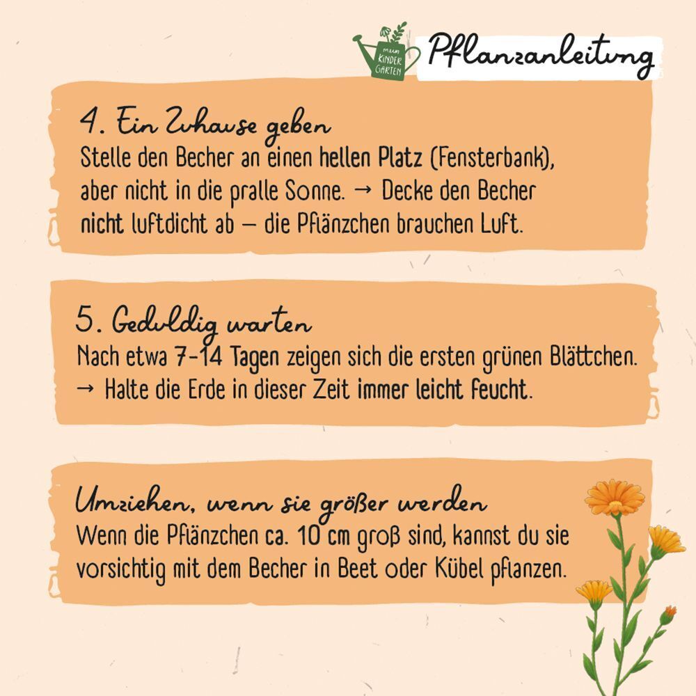 Weitere Ansicht: Ringel-Ringel-Blume