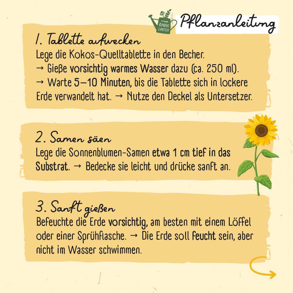 Weitere Ansicht: Meine erste Sonnenblume