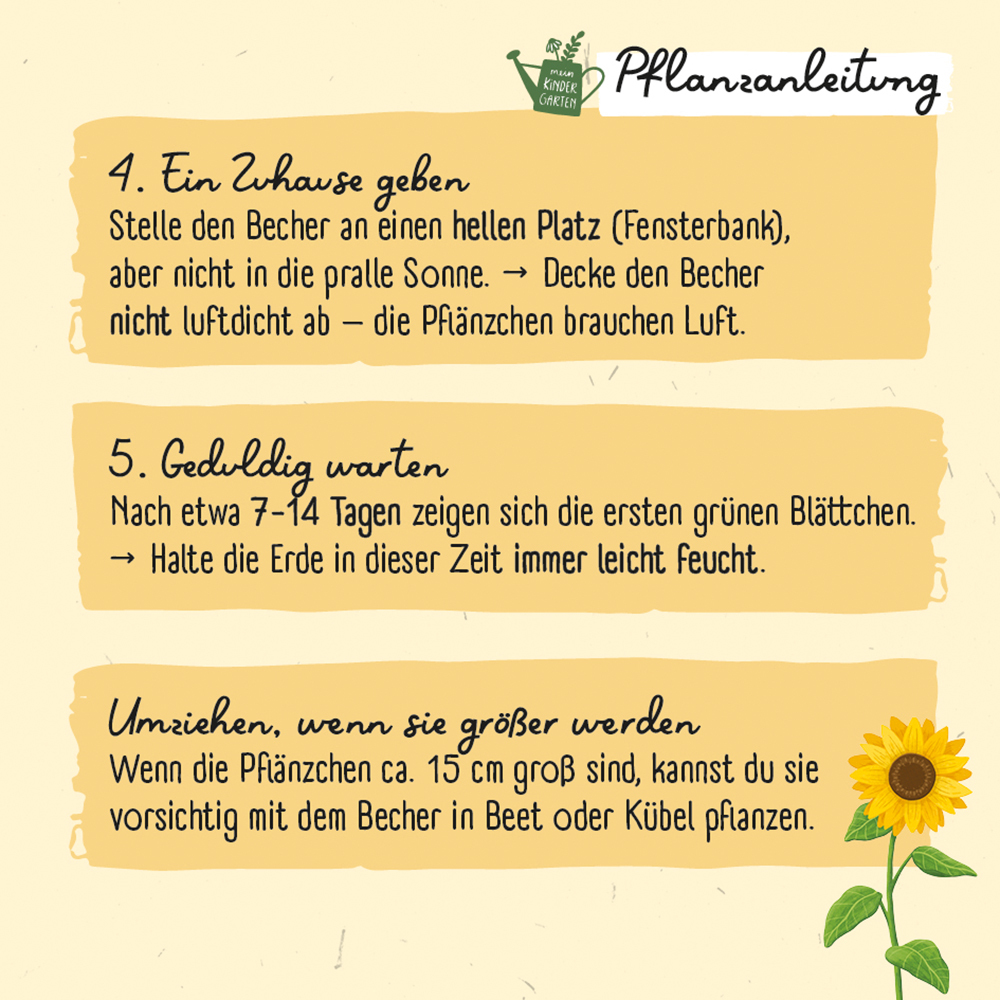 Weitere Ansicht: Meine erste Sonnenblume