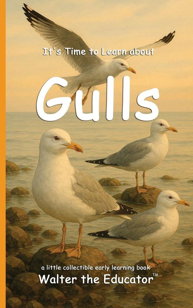 Produktbild: It's Time to Learn about Gulls | Walter the Educator