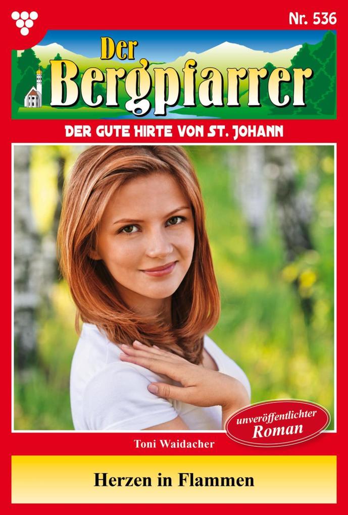 Produktbild: Herzen in Flammen | Toni Waidacher