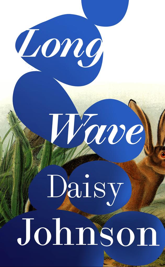 Produktbild: Long Wave | Daisy Johnson