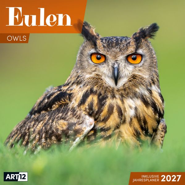 Produktbild: Eulen Kalender 2027 - 30x30 - Art12 | Ackermann Kunstverlag GmbH