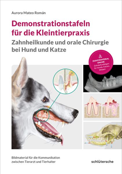 Produktbild: Demonstrationstafeln für die Kleintierpraxis, Zahnheilkunde und orale Chirurgie bei Hund und Katze | Aurora Mateo Román