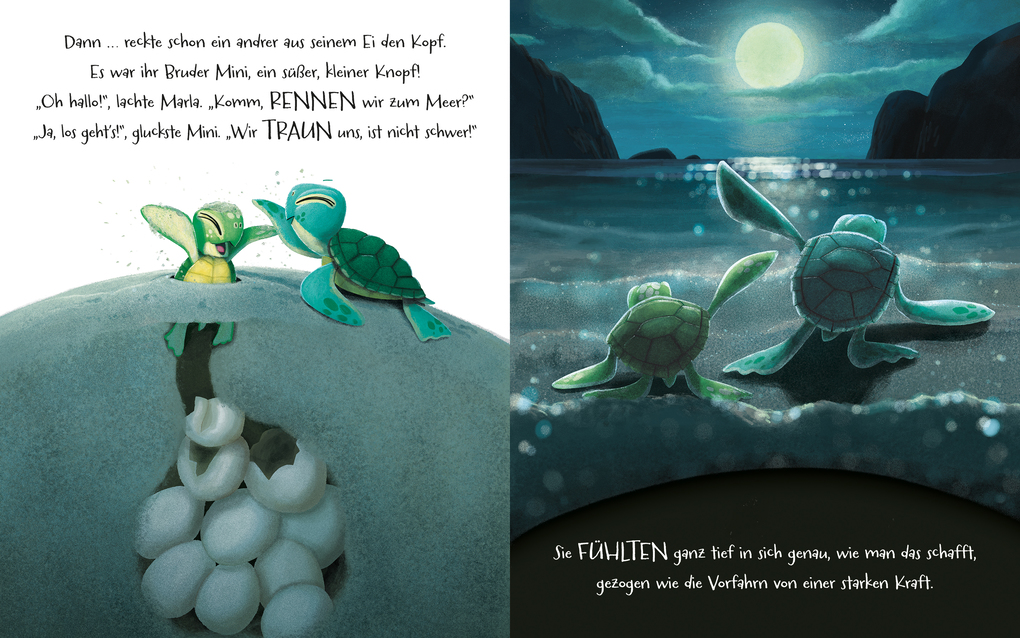 Weitere Ansicht: Geh deinen Weg, Schildkröte | Rachel Bright