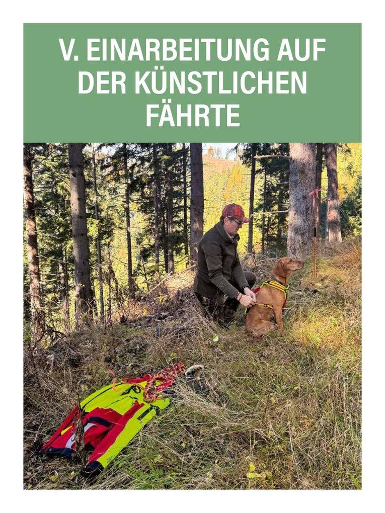 Weitere Ansicht: Jagdhunde ausbilden | Bernhard Hammer