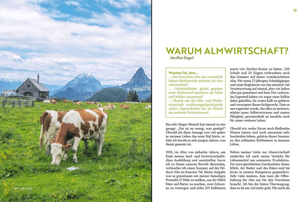 Weitere Ansicht: Über die Alm