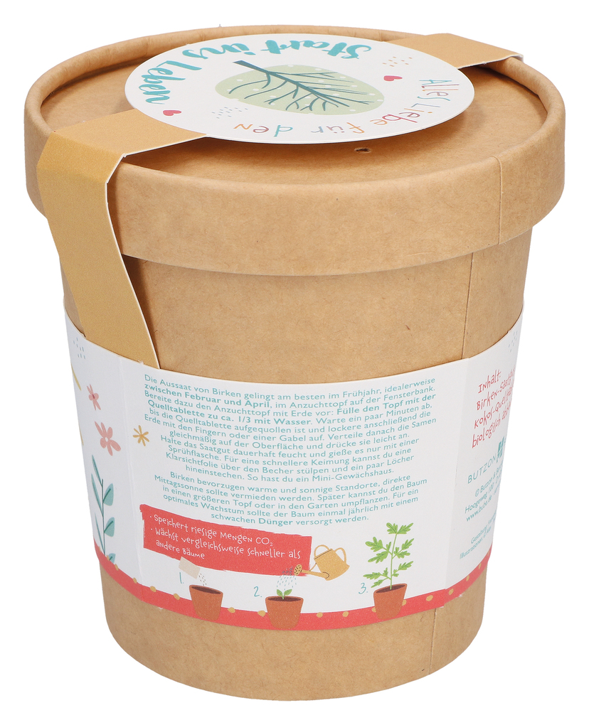Weitere Ansicht: Klimabaum Anzuchtset