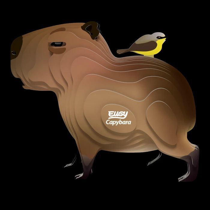 Weitere Ansicht: EUGY - 3D Bastelset Wasserschwein