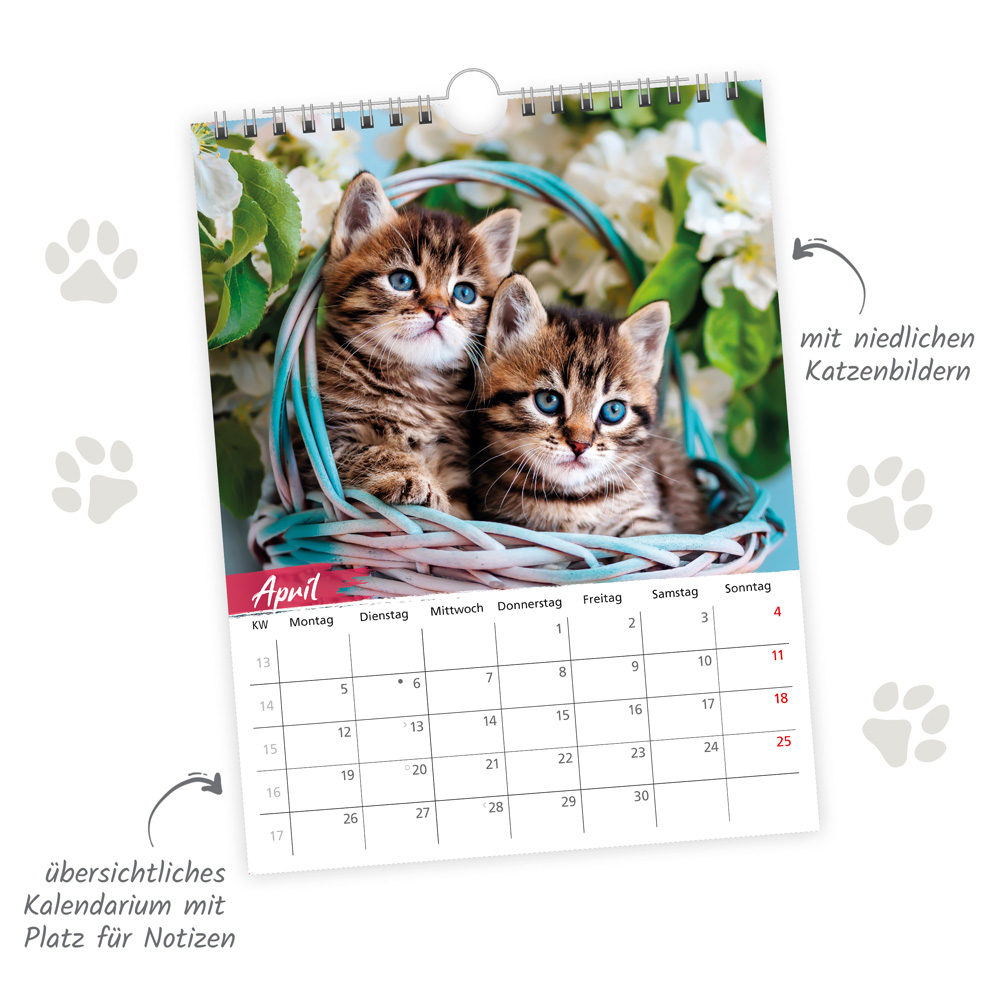 Weitere Ansicht: TRÖTSCH - Notizkalender zum Hängen Katzen 2027