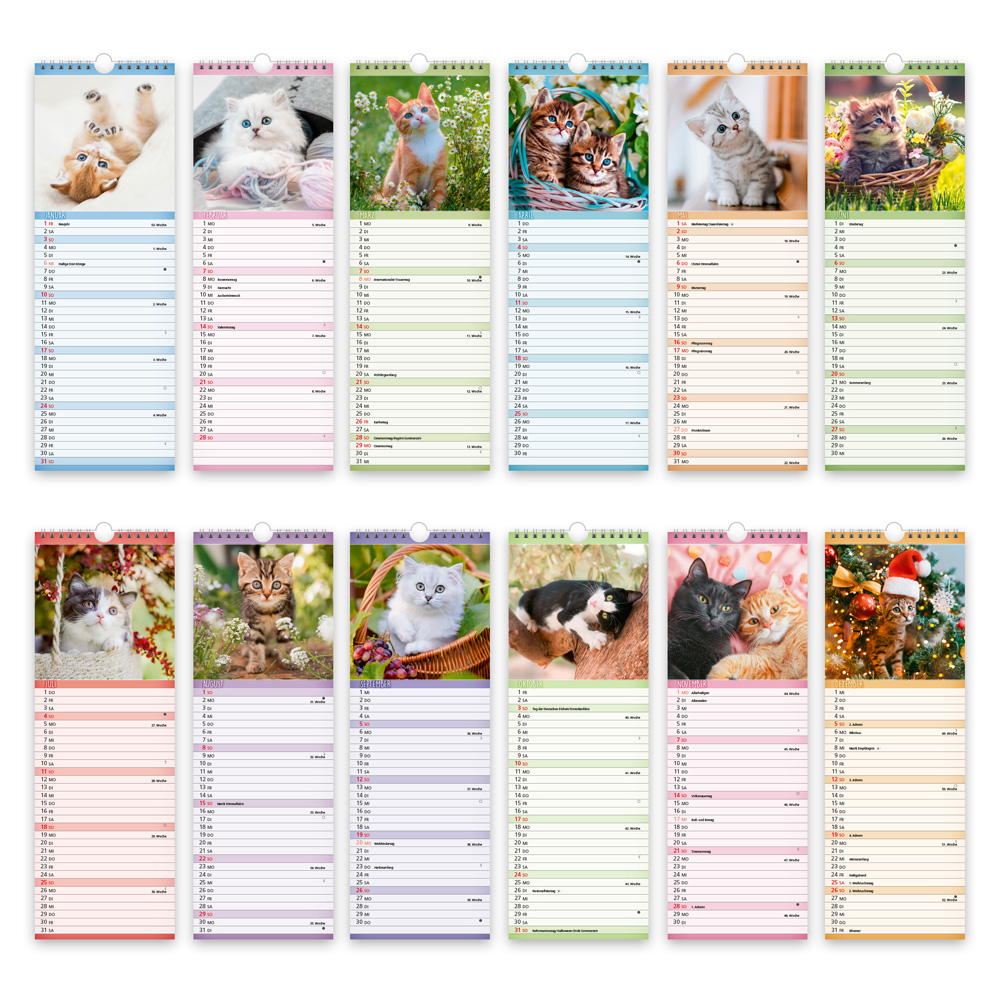 Weitere Ansicht: TRÖTSCH - Streifenkalender Katzen 2027 Notizkalender