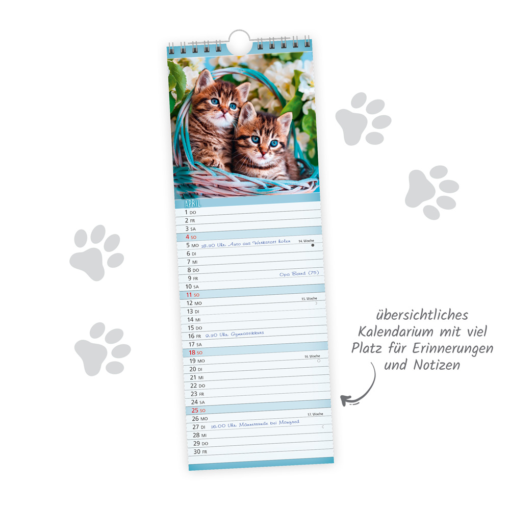 Weitere Ansicht: TRÖTSCH - Streifenkalender Katzen 2027 Notizkalender