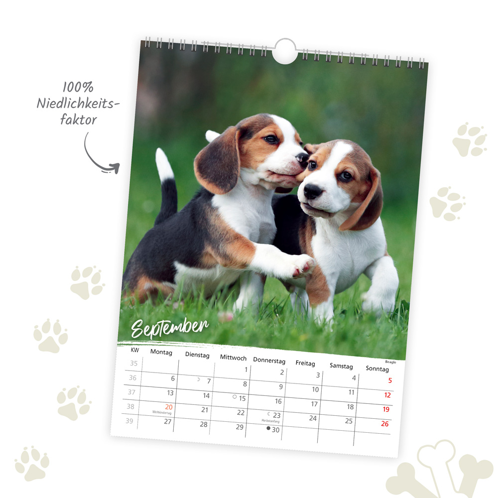 Weitere Ansicht: TRÖTSCH - Classickalender Hunde 2027