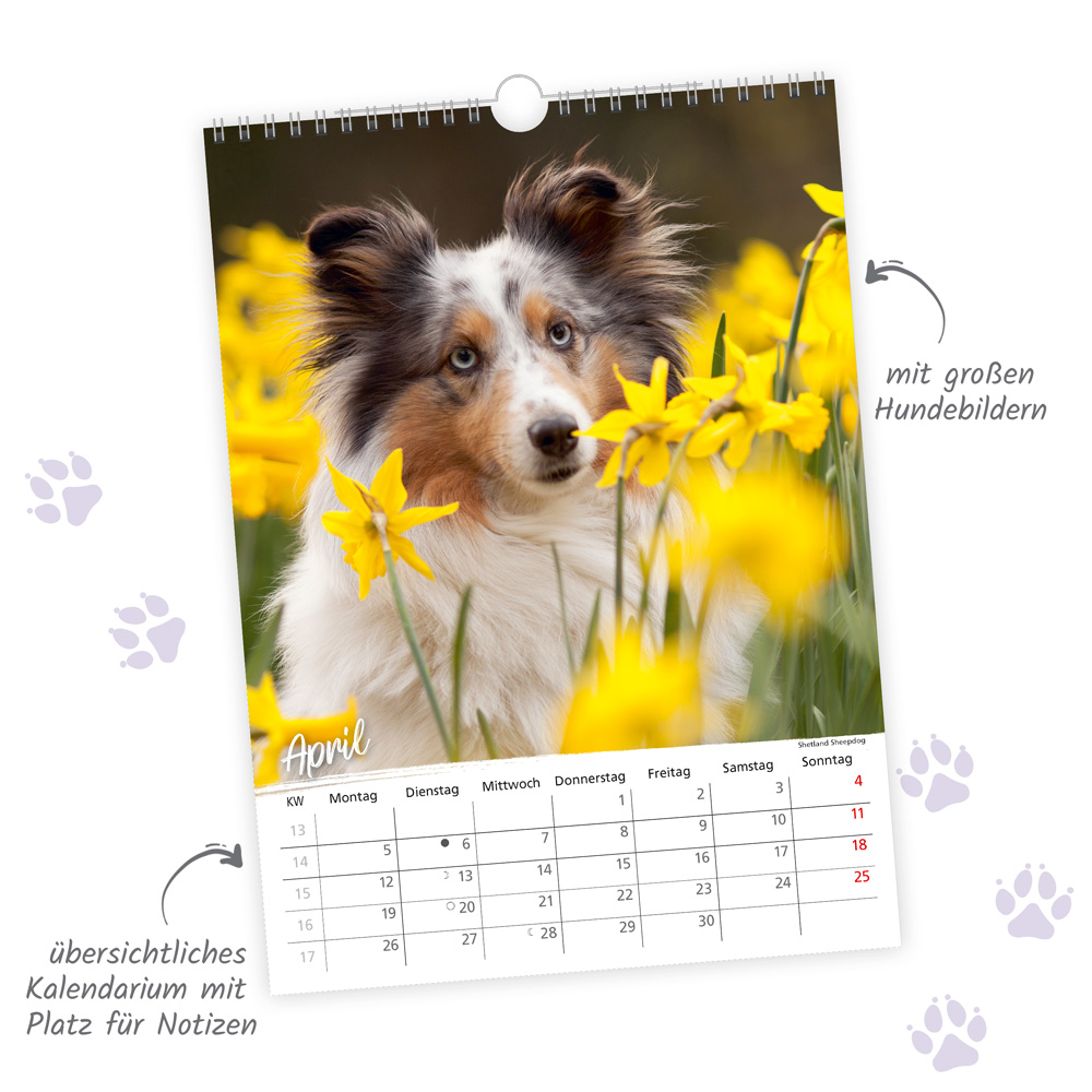 Weitere Ansicht: TRÖTSCH - Classickalender Hunde 2027