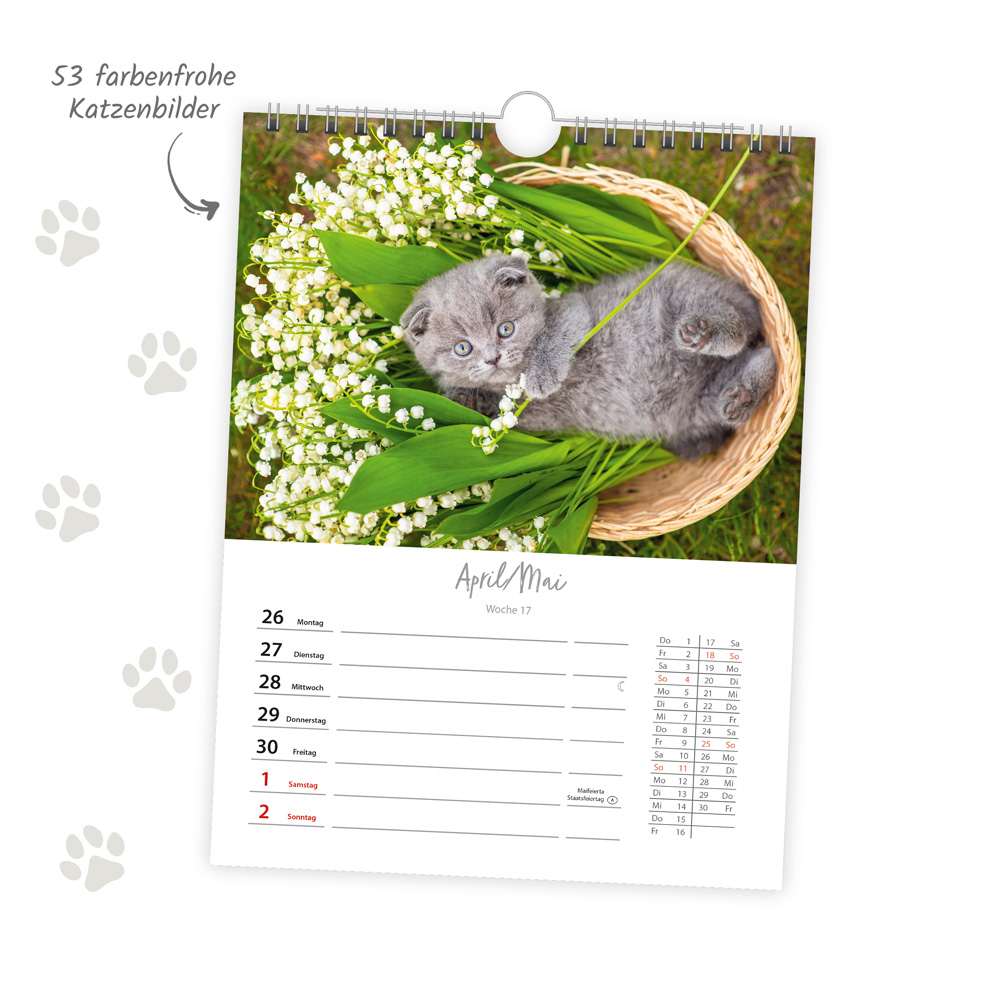Weitere Ansicht: TRÖTSCH - Wochenkalender zum Hängen Katzen 2027