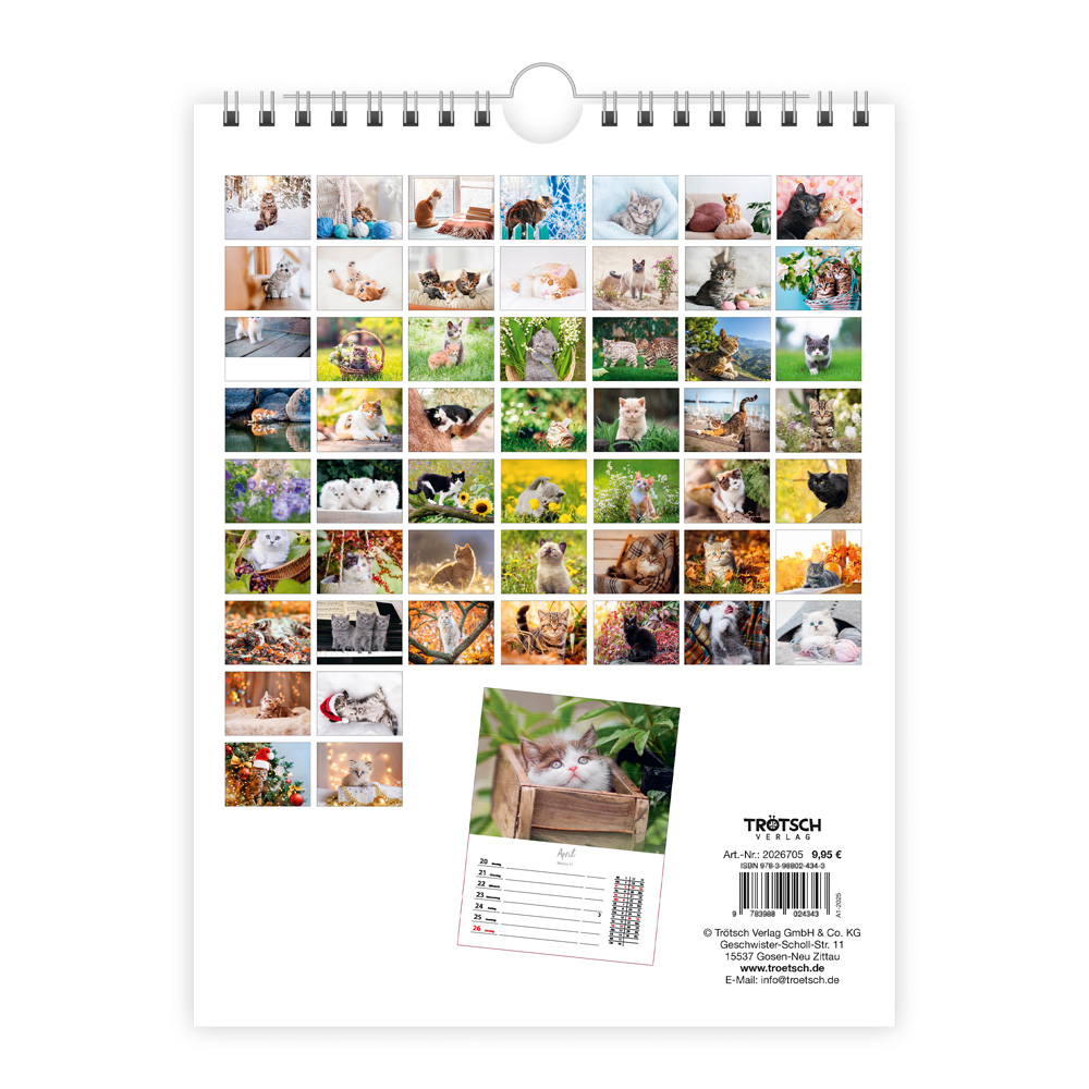 Weitere Ansicht: TRÖTSCH - Wochenkalender zum Hängen Katzen 2027