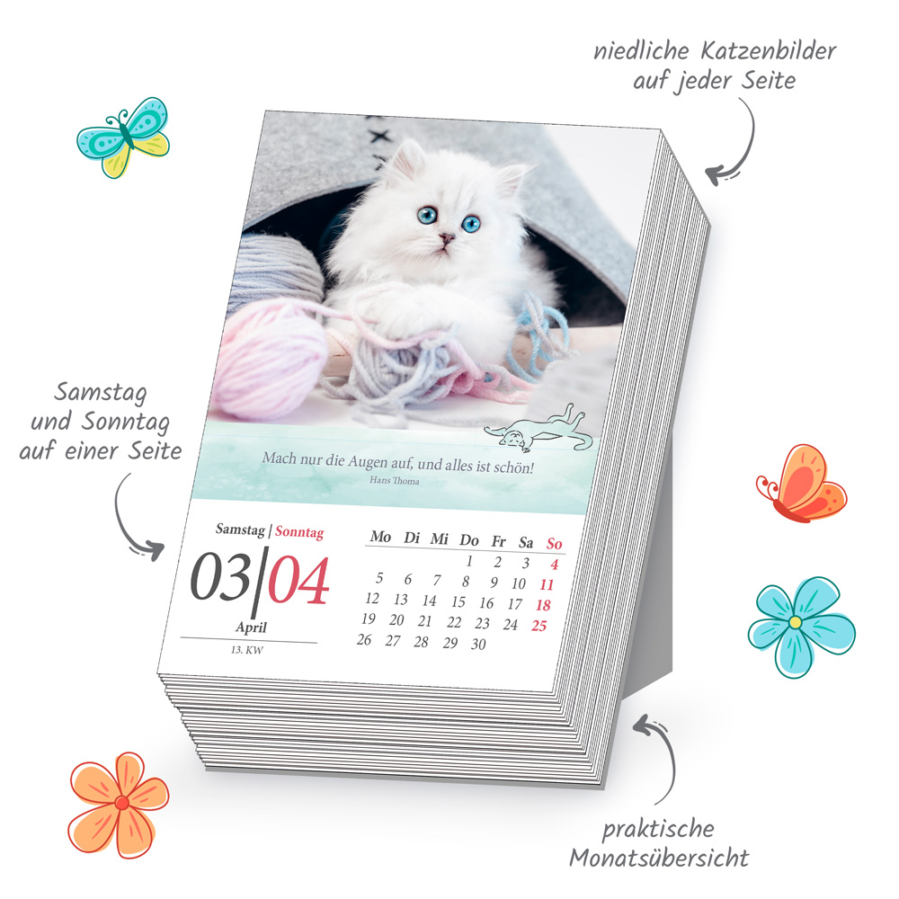 Weitere Ansicht: TRÖTSCH - Abreißkalender Katzen 2027