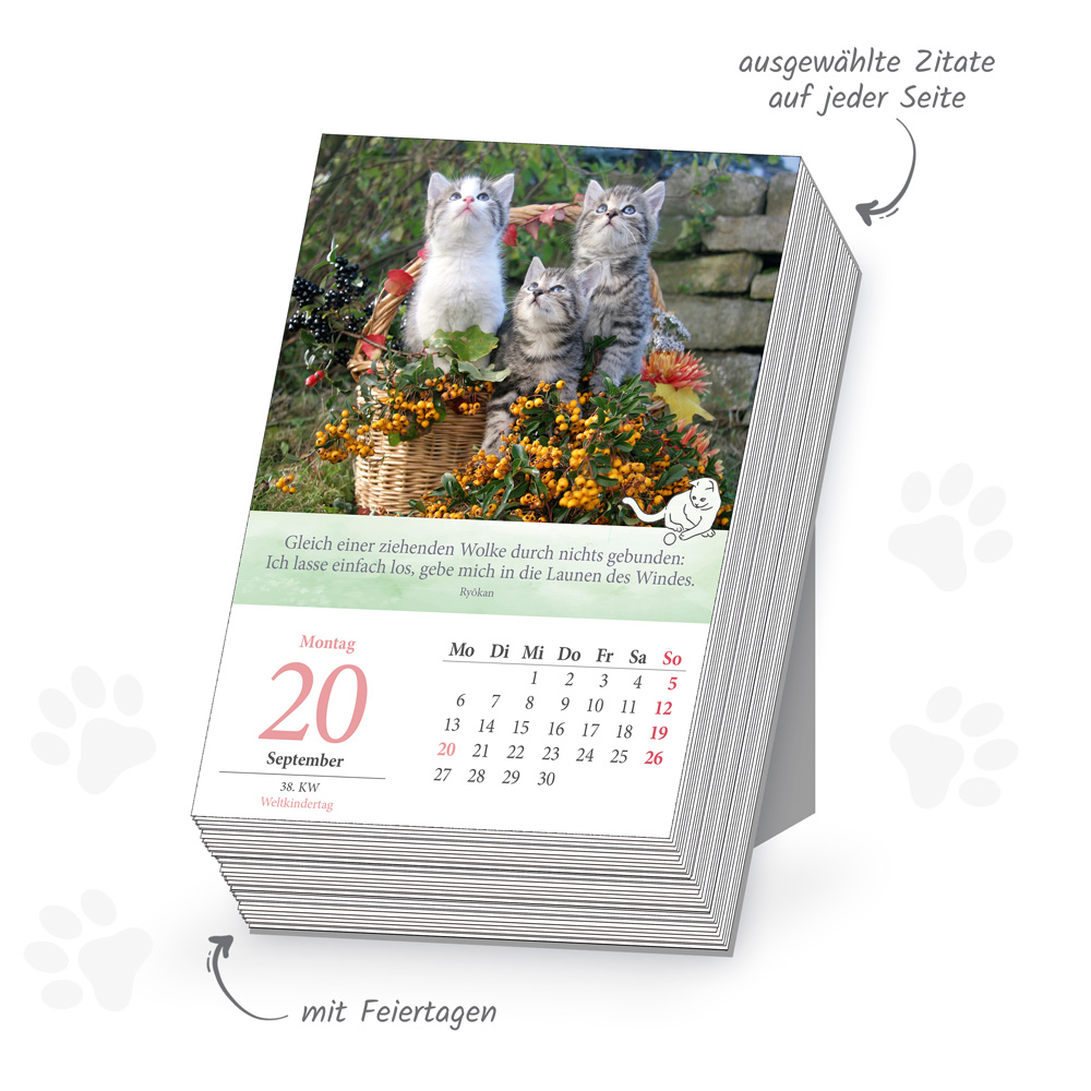 Weitere Ansicht: TRÖTSCH - Abreißkalender Katzen 2027