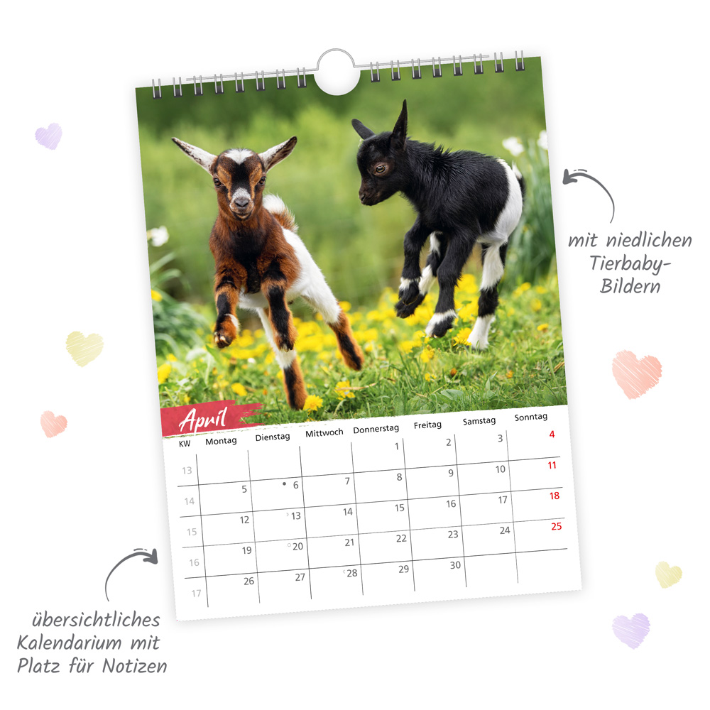 Weitere Ansicht: TRÖTSCH - Notizkalender zum Hängen Tierkinder 2027
