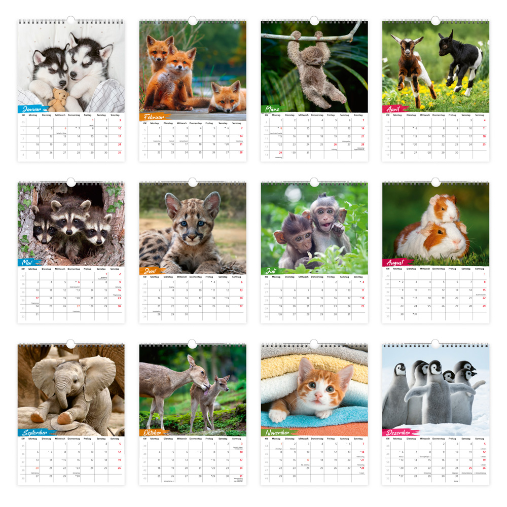 Weitere Ansicht: TRÖTSCH - Notizkalender zum Hängen Tierkinder 2027