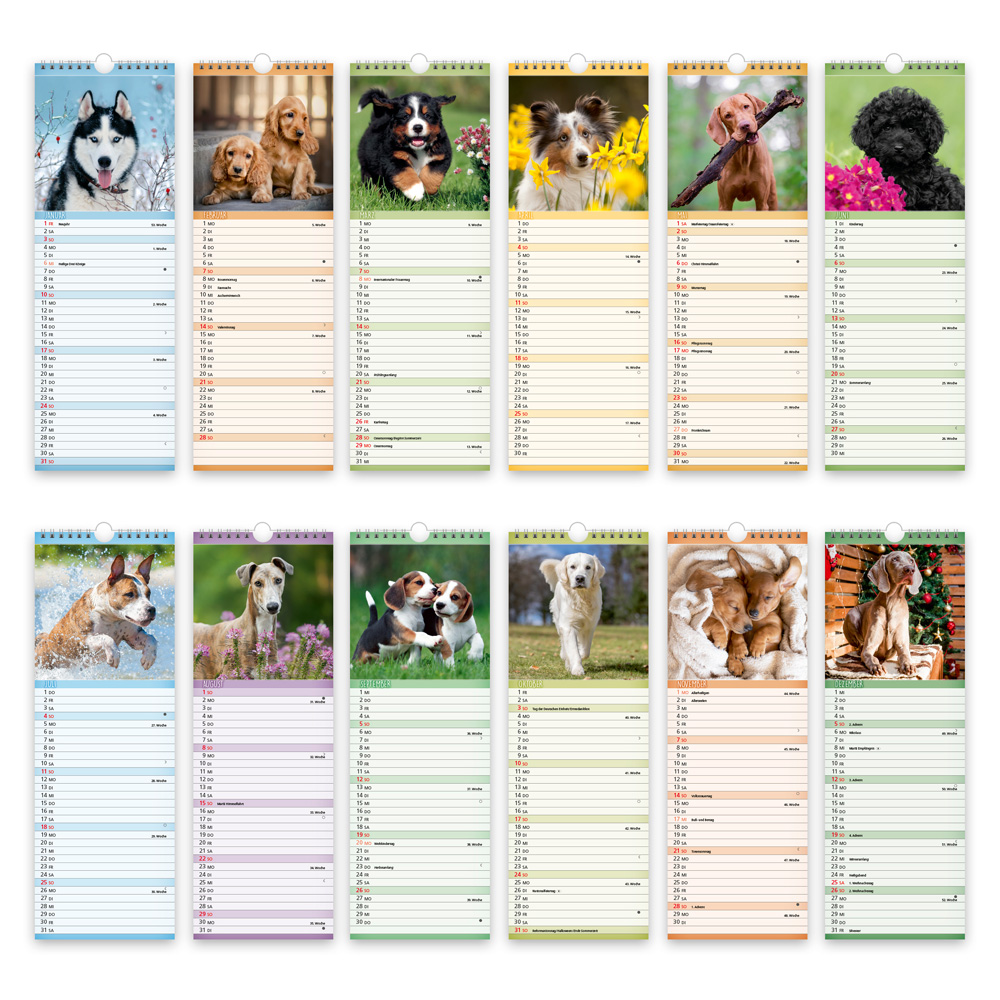 Weitere Ansicht: TRÖTSCH - Streifenkalender Hunde 2027 Notizkalender