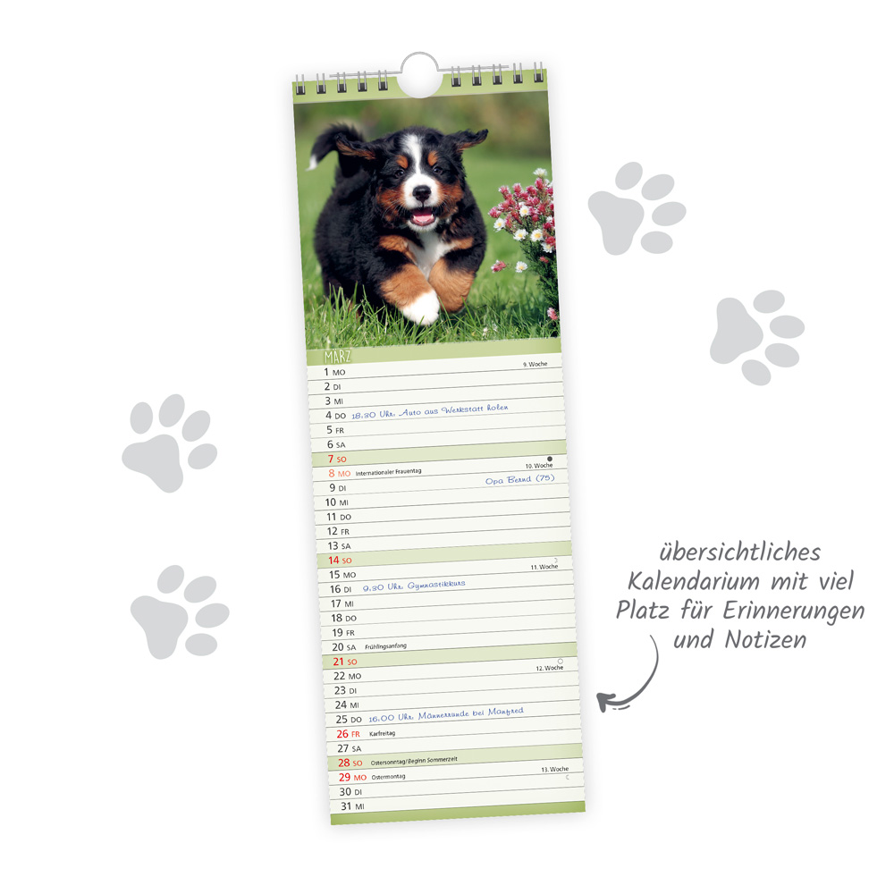 Weitere Ansicht: TRÖTSCH - Streifenkalender Hunde 2027 Notizkalender