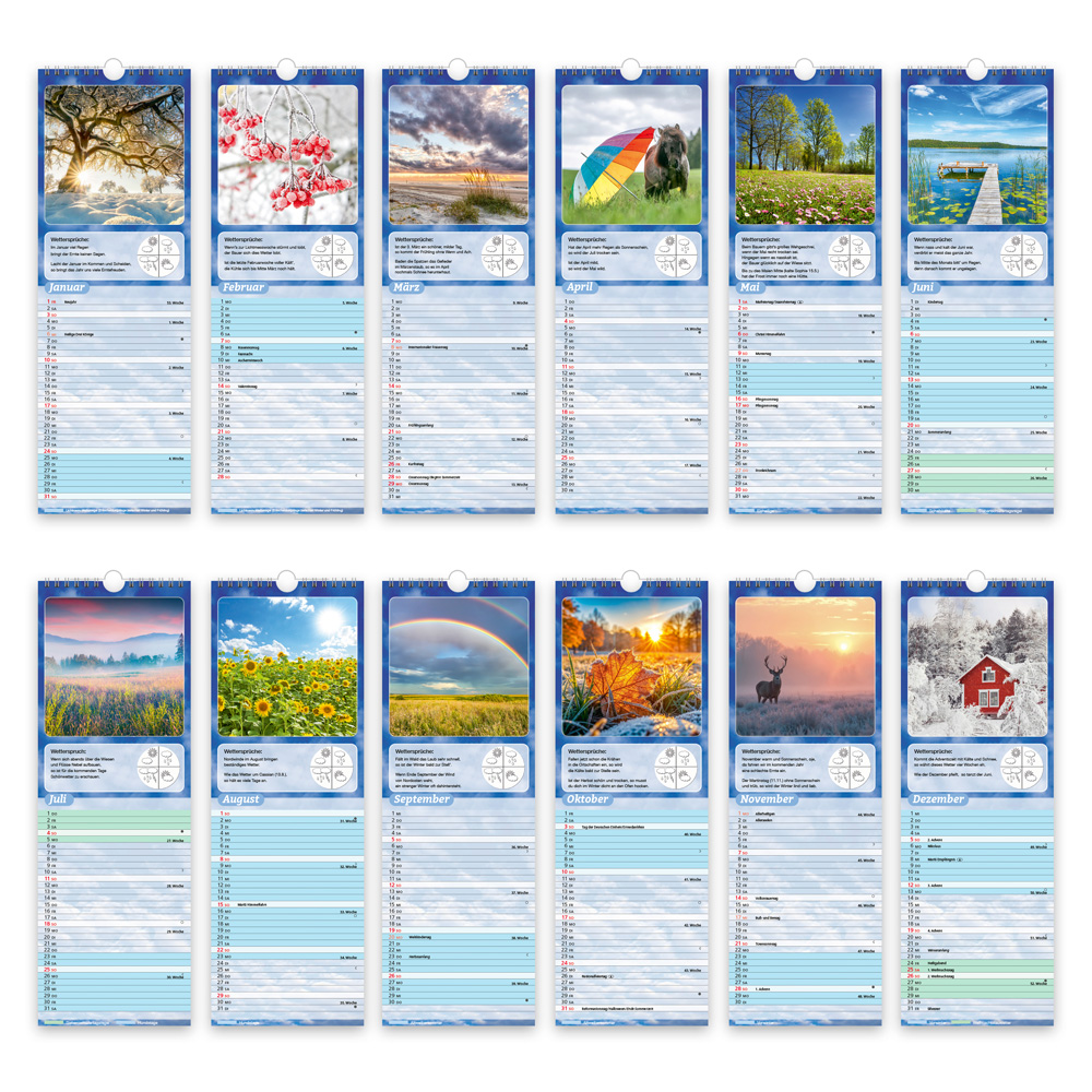 Weitere Ansicht: TRÖTSCH - Streifenkalender Wetterkalender 2027 Notizkalender