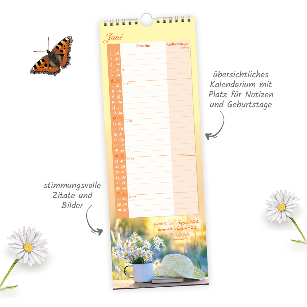 Weitere Ansicht: TRÖTSCH - Maxi-Streifenkalender Omas Kalender 2027