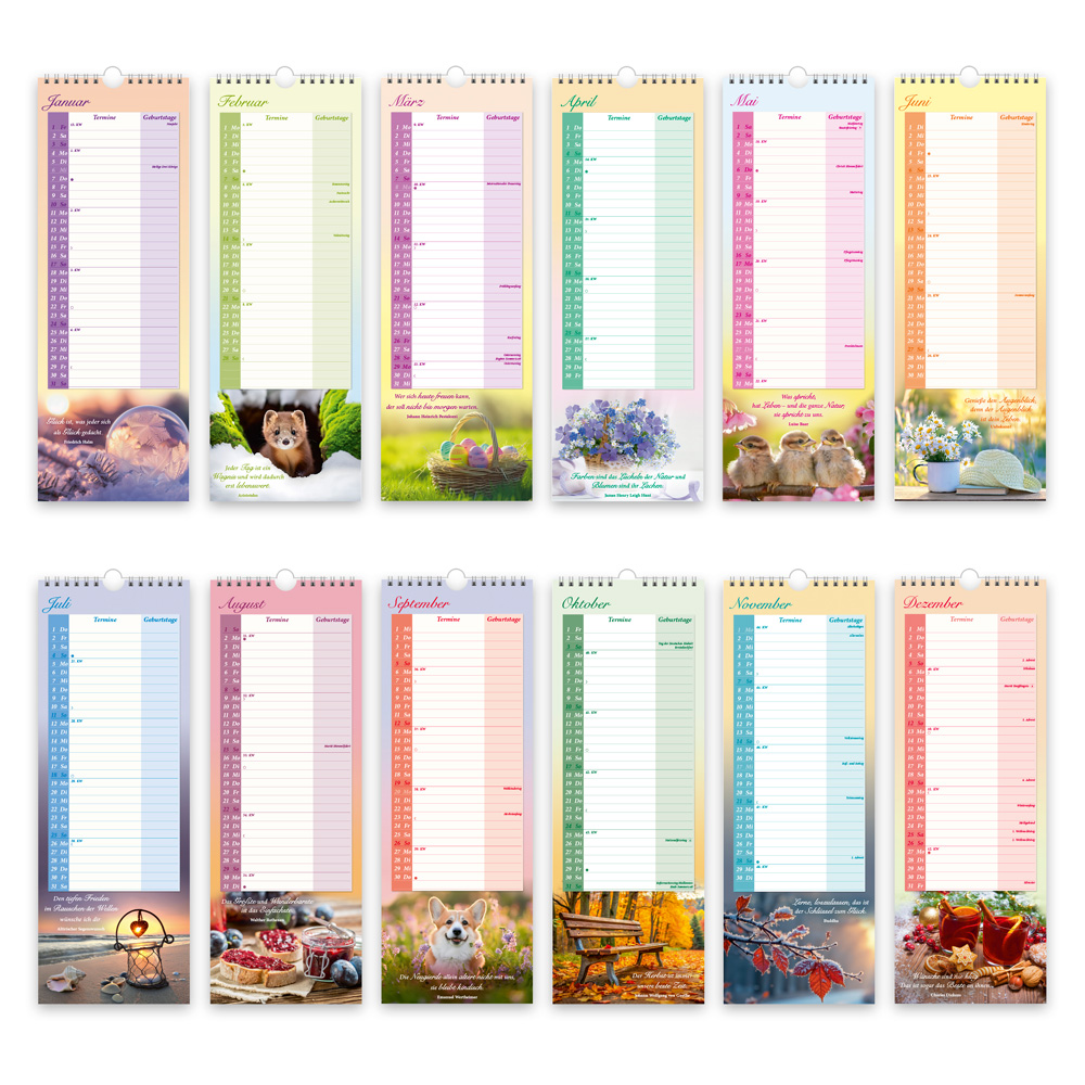 Weitere Ansicht: TRÖTSCH - Maxi-Streifenkalender Omas Kalender 2027