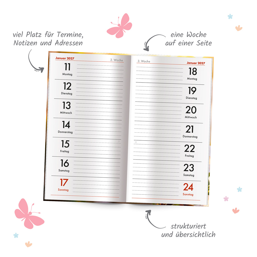 Weitere Ansicht: TRÖTSCH - Taschenterminer Schmetterling 2027