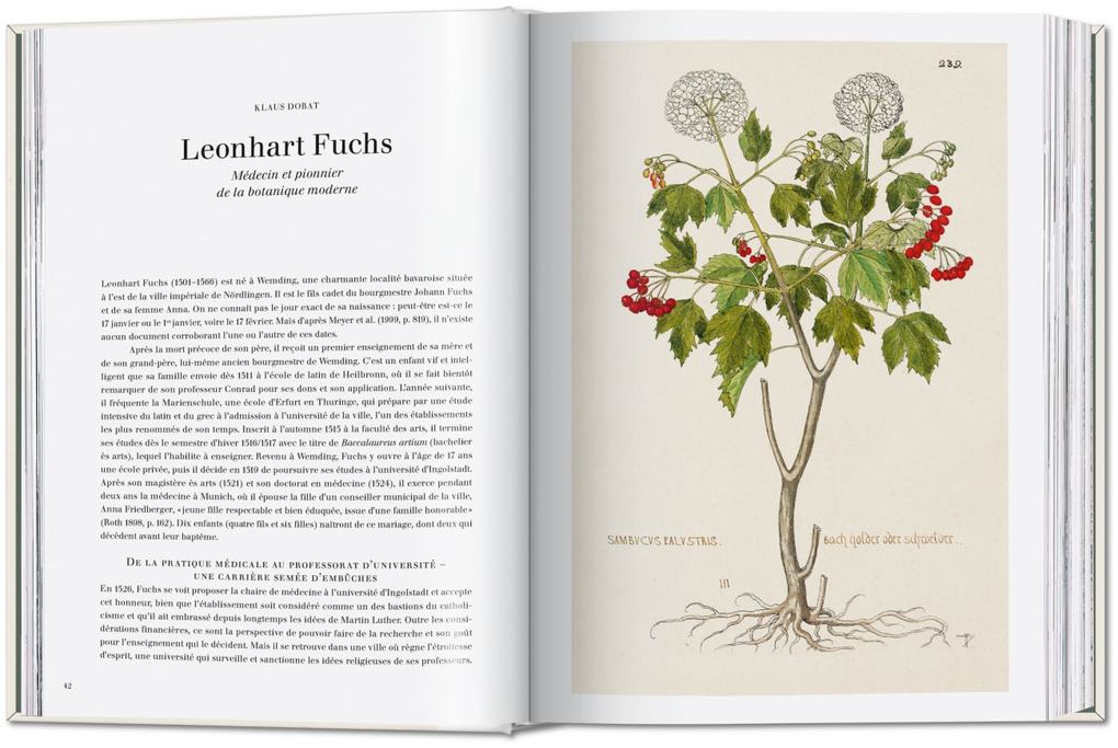 Weitere Ansicht: Leonhart Fuchs | Werner Dressendörfer