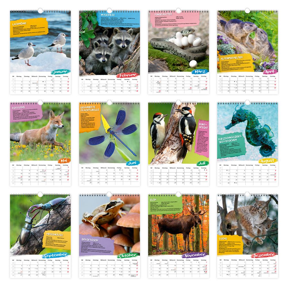 Weitere Ansicht: TRÖTSCH - Classickalender Heimische Tierwelt 2027