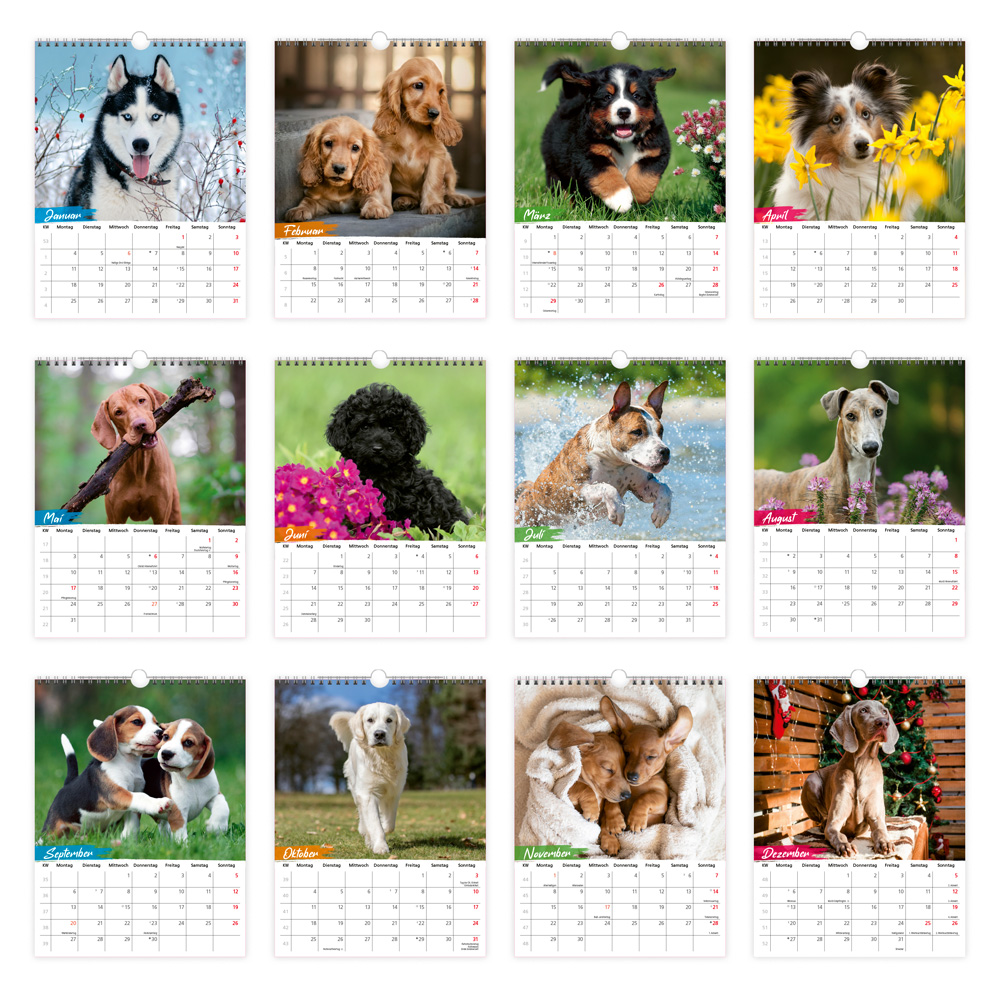 Weitere Ansicht: TRÖTSCH - Notizkalender zum Hängen Hunde 2027