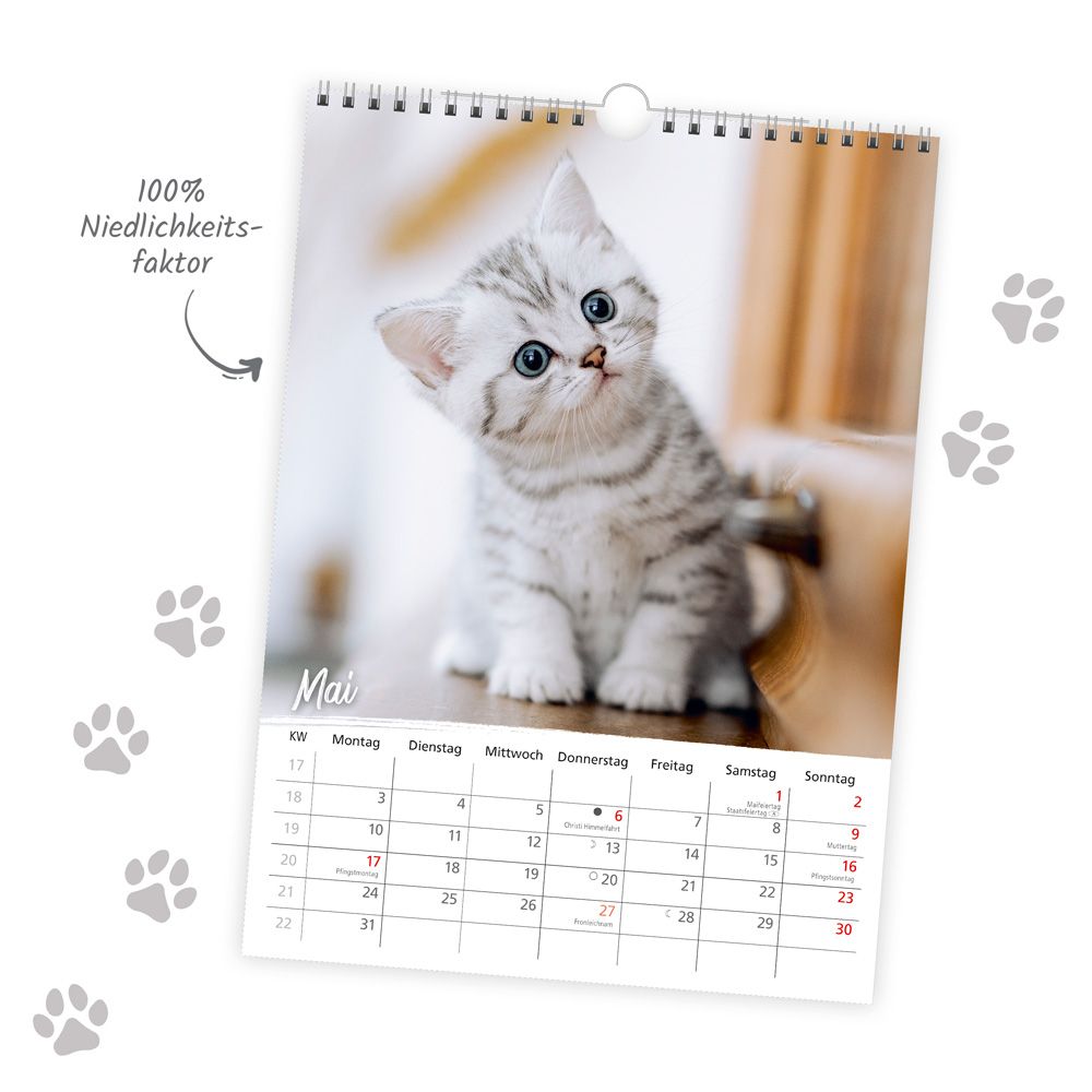 Weitere Ansicht: TRÖTSCH - Classickalender Liebste Katzen 2027