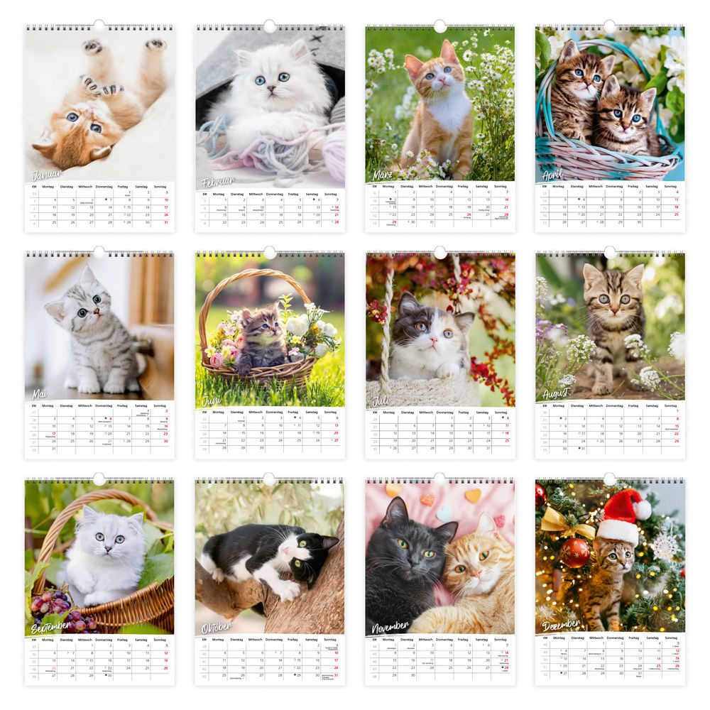Weitere Ansicht: TRÖTSCH - Classickalender Liebste Katzen 2027