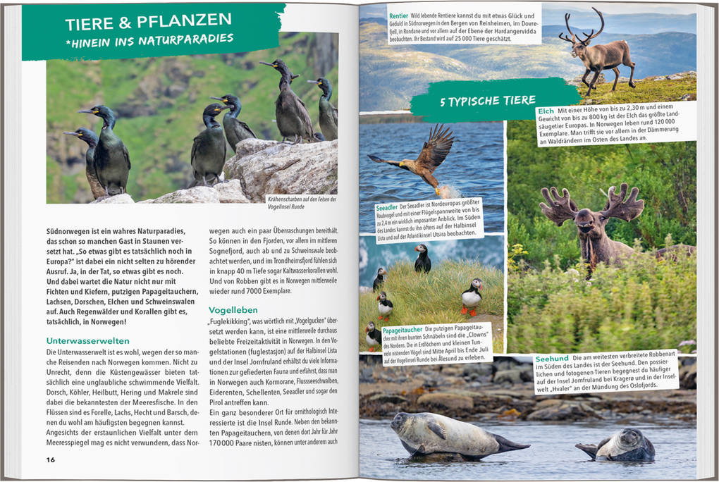 Weitere Ansicht: MARCO POLO OUTDOOR GUIDE Reiseführer Südnorwegen | Martin Schmidt
